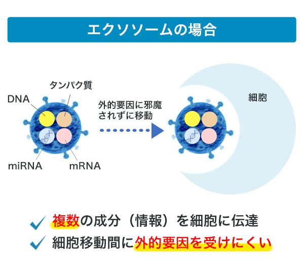 エクソソームの場合：・複数の成分（情報）を細胞に伝達 ・細胞移動間に外的要因を受けにくい