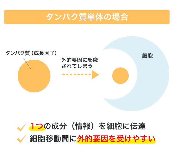 タンパク質単体の場合：・1つの成分（情報）を細胞に伝達 ・細胞移動間に外的要因を受けやすい